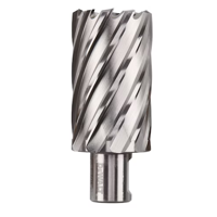 uae/images/productimages/al-badr-al-tamam-hardware-trading/core-drill-bit/2-in-annular-cutters-dwac02023.webp