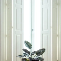 uae/images/productimages/al-raha-automatic-doors-llc/door-installation-&-repair-service/aluminium-bi-fold-door.webp