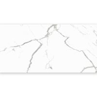 uae/images/productimages/alpha-tiles/porcelain-tile/porcelain-floor-tile-glossy-ap-16807-80-x-160-cm.webp
