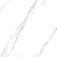 uae/images/productimages/alpha-tiles/porcelain-tile/porcelain-floor-tile-glossy-ap-8802-c-80-x-80-cm.webp