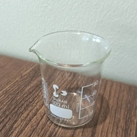 uae/images/productimages/care-source-global/laboratory-beaker/duran-beaker-low-form-with-spout-100-ml.webp