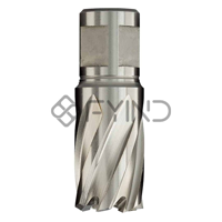 uae/images/productimages/euroboor/core-drill-bit/annular-cutter-high-speed-steel-cobalt.webp