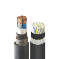uae/images/productimages/power-plus-cable-company-llc/control-cable/low-voltage-auxillary-control-xlpe-insulated-pvc-sheathed-cables-4-mm2.webp