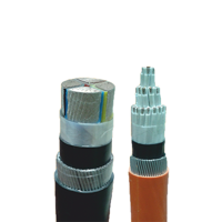 uae/images/productimages/power-plus-cable-company-llc/power-cable/lsf-lszh-two-core-copper-conductor-fire-resistant-cable-0-6-to-2-0-mm2.webp