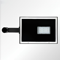 uae/images/productimages/streetscape-international/street-light/mustang-small-single-led-area-light-distribution-type-iv-for-spigot-pole-60-mm.webp