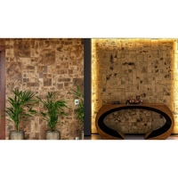 uae/images/productimages/transgulf-cement-products-factory/wall-cladding/cladding-lucce-12-mm.webp