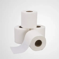 uae/images/productimages/unipack-containers-&-carton-products-llc/toilet-tissue-paper/toilet-roll-100-100-mm.webp