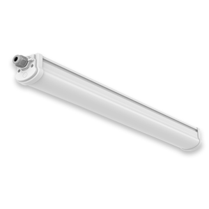 Fluorescent Fixture