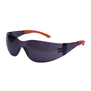 Safety Goggle