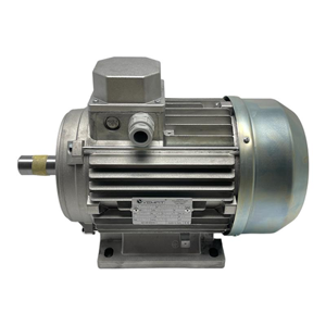 Electric Motor