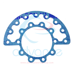 Flange Gasket