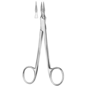 Dental Forcep