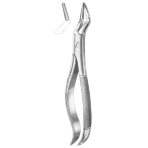 Dental Forcep