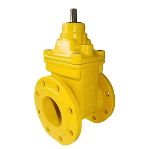 Gate Valve