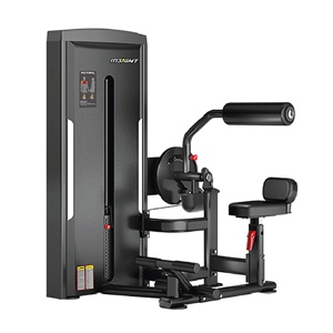 Back Extension Machine