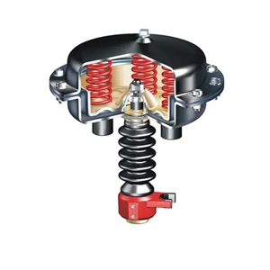 Pneumatic Actuator
