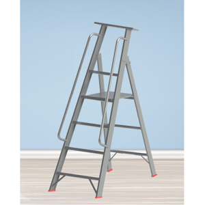 Platform Ladder