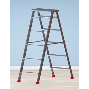 Two Way Ladder