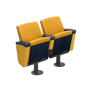 Auditorium Seating