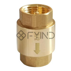 Check Valve