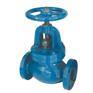Globe Valve