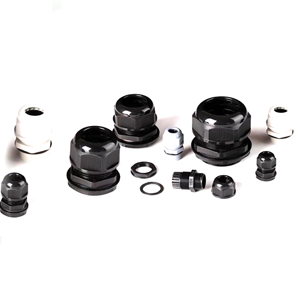 Cable Gland