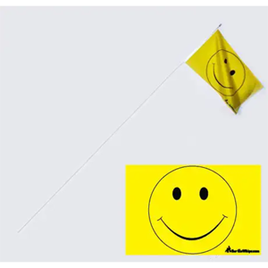 Sand Flag