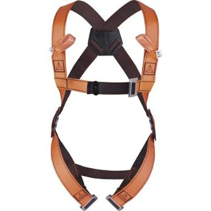 Safety Harness