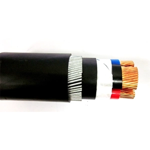 Power Cable