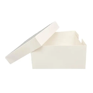 Packaging Box