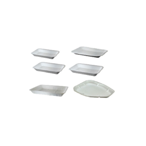 Disposable Foam Tray