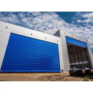 Hangar Door