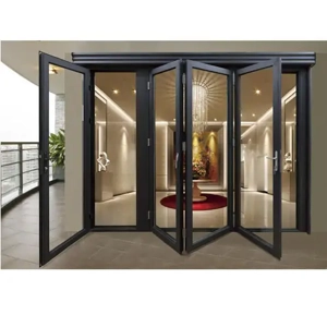 Folding Door