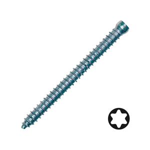 Wood Screw