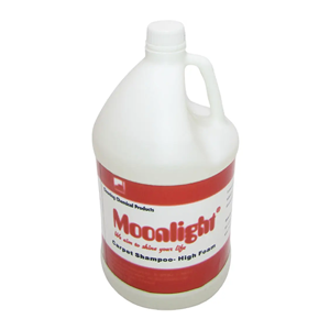 Carpet Cleaner