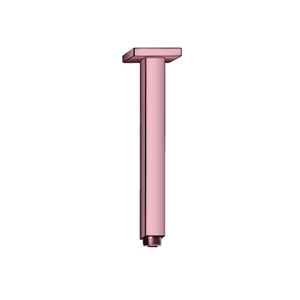 Shower Head