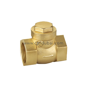Check Valve