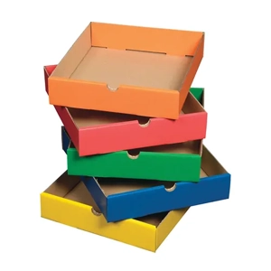 Cardboard Tray