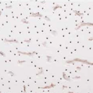 Fibre Ceiling Tile