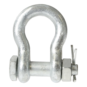 Anchor Shackle