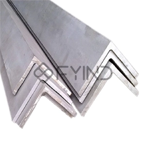 Stainless Steel Angle