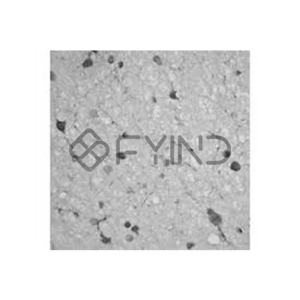 Vinyl Flooring