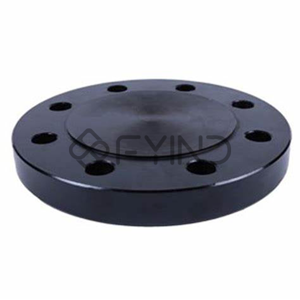 Blind Flange