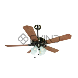 Ceiling Fan