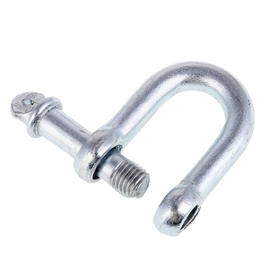 Chain Shackle