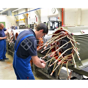 Motor Rewind Service