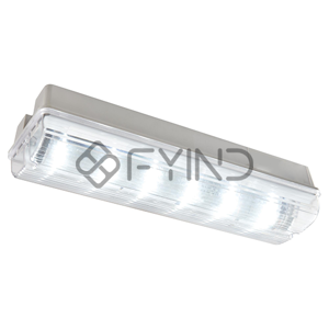 Emergency Light