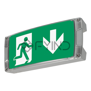 Emergency Light