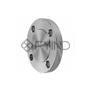 Blind Flange