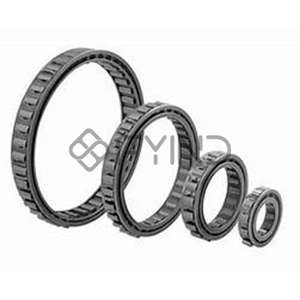 Free Wheel Clutch